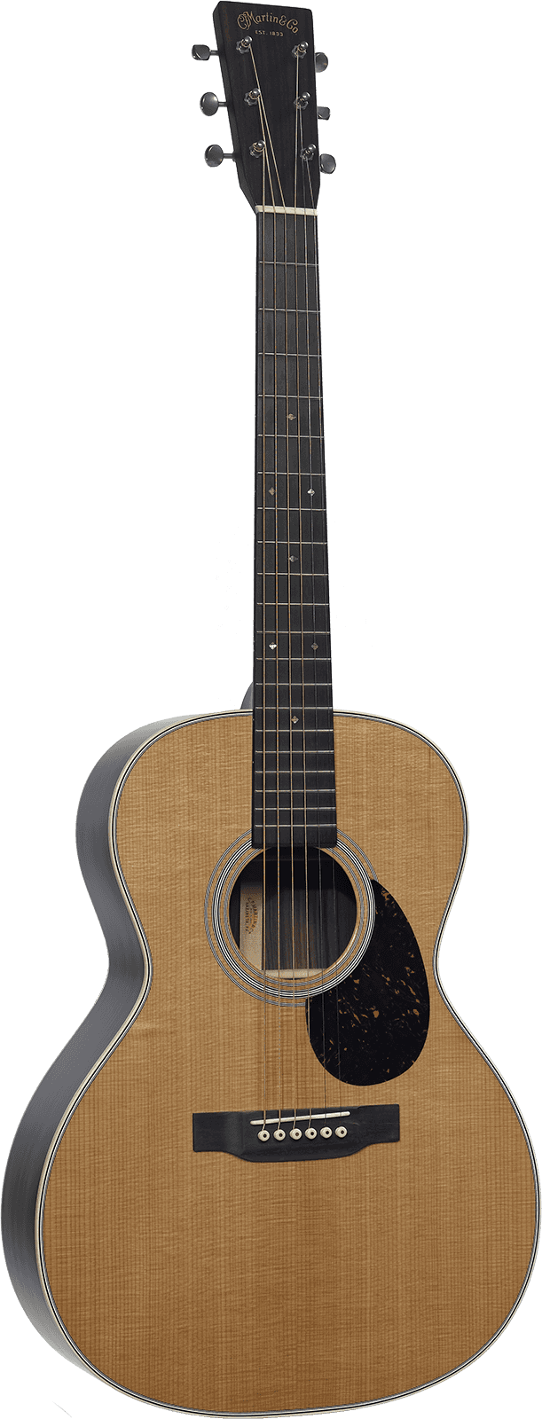 00L Epicéa Sitka/Paliss. d'Inde de l'Est CS-00L-3131424