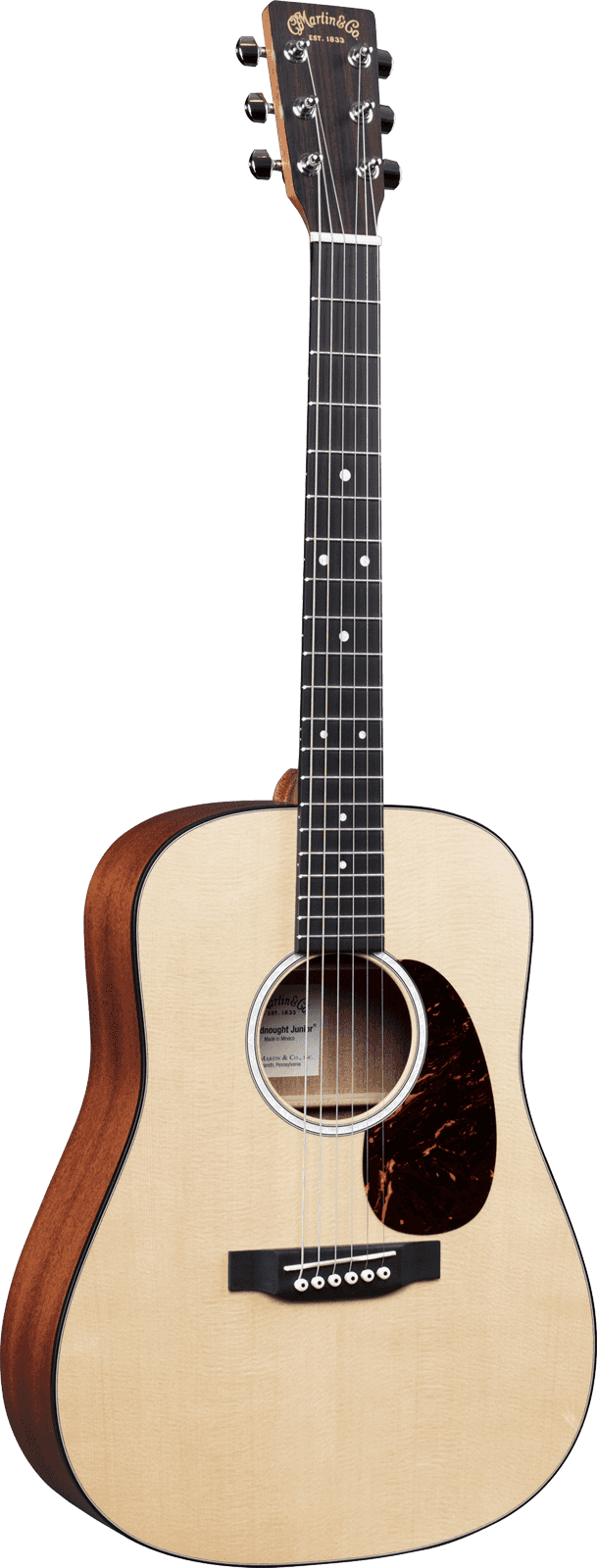 Dreadnought Epicéa Sitka/Sapele DJR-10E