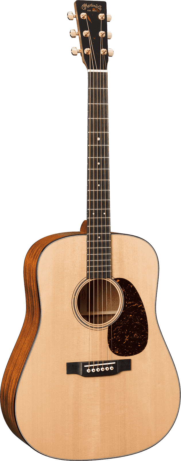 Dreadnought Epicéa Sitka/Sapele DST