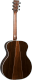 Grand Perf Epicéa Sitka/Palissandre GP-35E