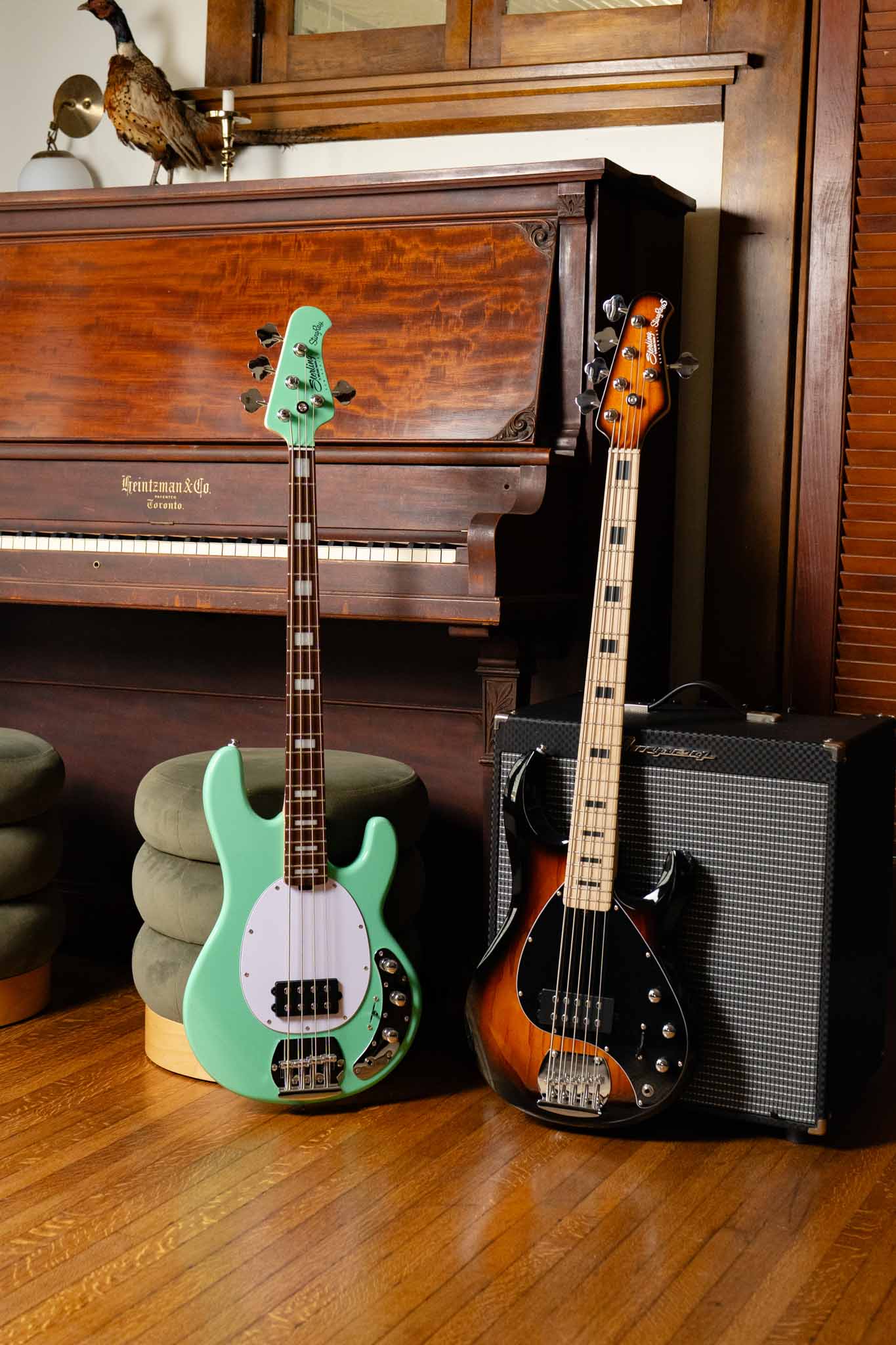 StingRay Plus SUB Série Sterling by Music Man 4 cordes Seafoam Green et 5 cordes Vintage Sunburst