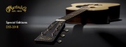 La Martin Guitar Special Edition DSS-2018