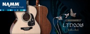 Takamine édition limitée 2018 : Gifu-Cho