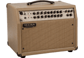 Amplis Acoustiques