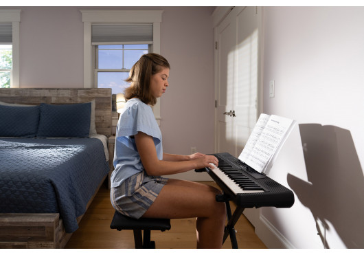 ALESIS CLAVIERS ARRANGEURS HARMONY61MK4