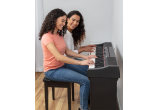 ALESIS Pianos numériques PRESTIGE-ARTIST-PACK