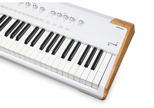 ASTROLAB-88-WH ARTURIA SYNTHETISEURS ASTROLAB-88-WH
