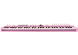 ARTURIA CLAVIERS MAITRES ESSENTIAL3-61-ROS