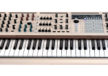 ARTURIA SYNTHETISEURS POLYBRUTE12