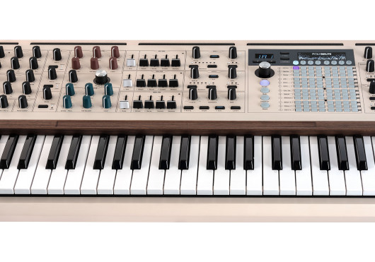 ARTURIA SYNTHETISEURS POLYBRUTE12