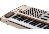ARTURIA SYNTHETISEURS POLYBRUTE12