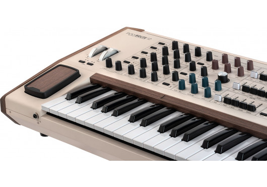 ARTURIA SYNTHETISEURS POLYBRUTE12