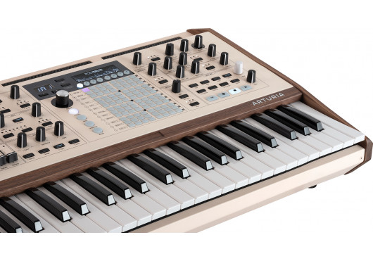 ARTURIA SYNTHETISEURS POLYBRUTE12