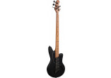 AC-AVANT-5-BLK ASHDOWN BASSES ELECTRIQUES AC-AVANT-5-BLK