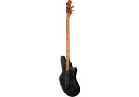 AC-AVANT-5-BLK ASHDOWN BASSES ELECTRIQUES AC-AVANT-5-BLK