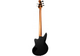 AC-AVANT-5-BLK ASHDOWN BASSES ELECTRIQUES AC-AVANT-5-BLK