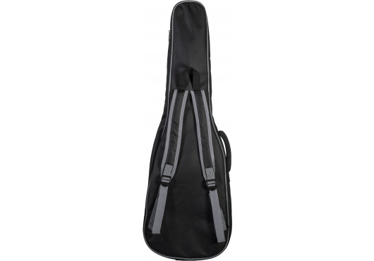 ASHDOWN BASSES ELECTRIQUES CAPRI23-SP