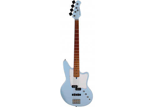ASHDOWN BASSES ELECTRIQUES SAINT-IB