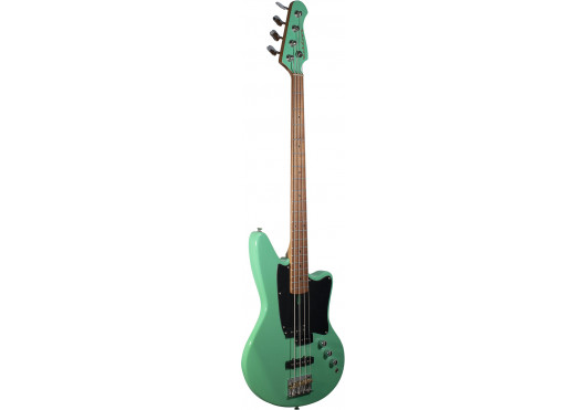 ASHDOWN BASSES ELECTRIQUES SAINT-SFG