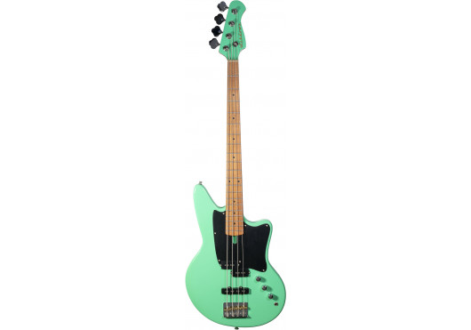 ASHDOWN BASSES ELECTRIQUES SAINT-SFG