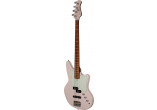 ASHDOWN BASSES ELECTRIQUES SAINT-SP