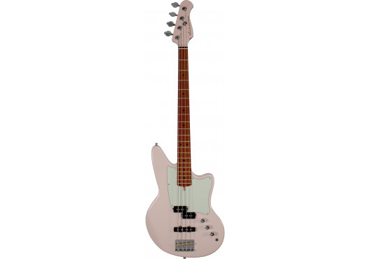 ASHDOWN BASSES ELECTRIQUES SAINT-SP