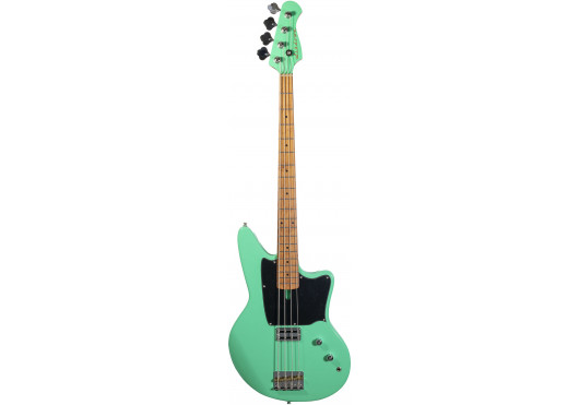 ASHDOWN BASSES ELECTRIQUES SAINTSOAP-SFG