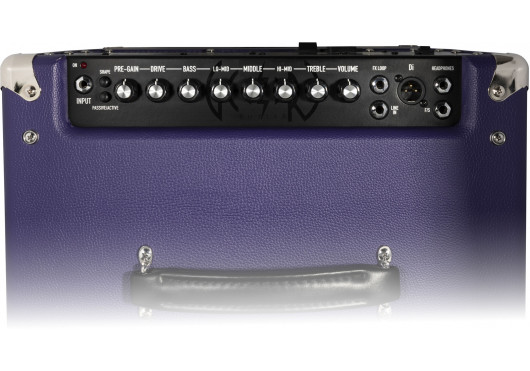 ASHDOWN AMPLIS BASSE UK-COD-PURPLE12