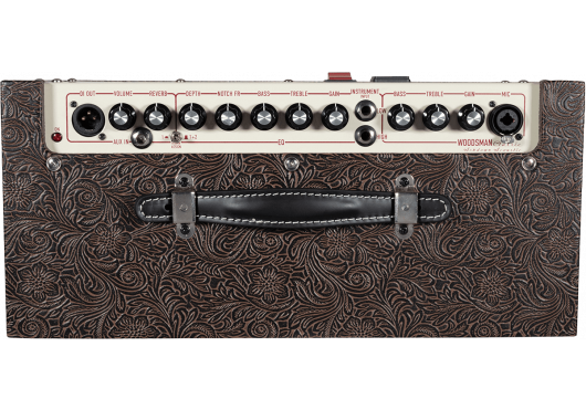 ASHDOWN AMPLIS GUITARE ACOUSTIQUE WOODSMAN-CLASSIC