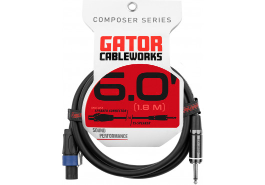 CABLEWORKS CÂBLES HAUT-PARLEUR GCWC-SPK-06-1TL