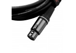 CABLEWORKS CÂBLES MICROPHONE GCWC-XLR-20