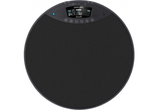 CHERUB PADS D'ENTRAINEMENT DP-970