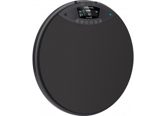 CHERUB PADS D'ENTRAINEMENT DP-970