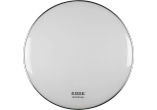 White 22