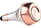 5505C DENIS WICK SOURDINES 5505C