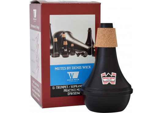 5534 DENIS WICK SOURDINES 5534