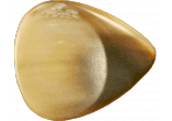 DUGAIN MEDIATORS SUPERCORNE