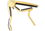 Trigger folk, plat Gold