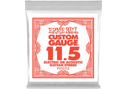 ERNIE BALL CORDES ELECTRIQUES 010115