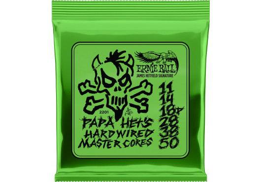 ERNIE BALL CORDES ELECTRIQUES 2201