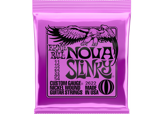ERNIE BALL CORDES ELECTRIQUES 2622