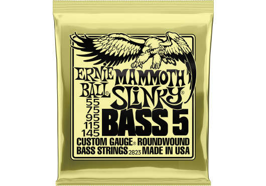 ERNIE BALL CORDES BASSES 2823