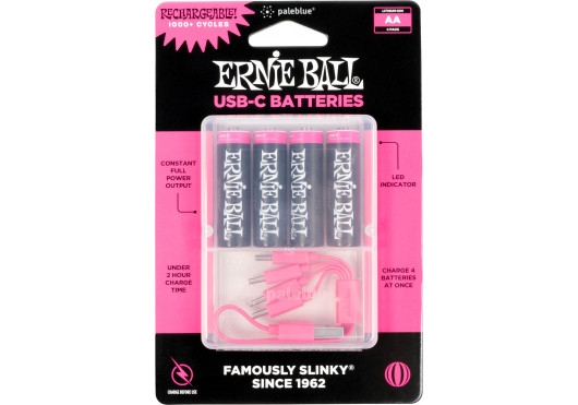 ERNIE BALL ACCESSOIRES 9643