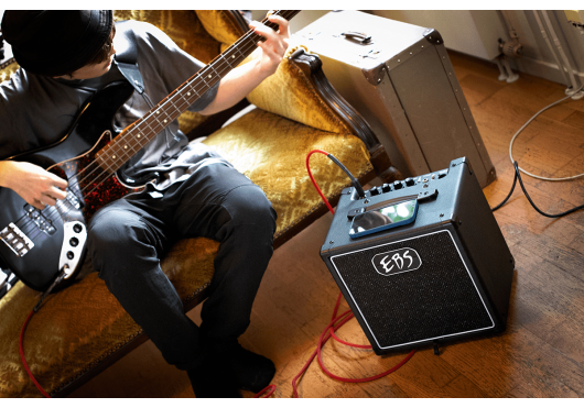 EBS COMBOS BASSE SESSION30-MK3
