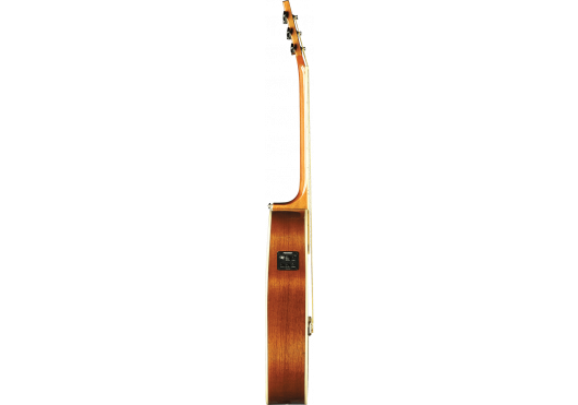 EKO GUITARES ACOUSTIQUES ONE-A150CE-NAT
