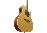 EKO GUITARES ACOUSTIQUES ONE-A150CE-NAT