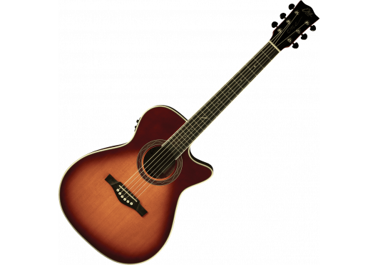 EKO GUITARES ACOUSTIQUES ONE-A150CE-VB