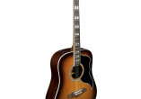 RANGERVR6-EQ-HB EKO GUITARES ACOUSTIQUES RANGERVR6-EQ-HB