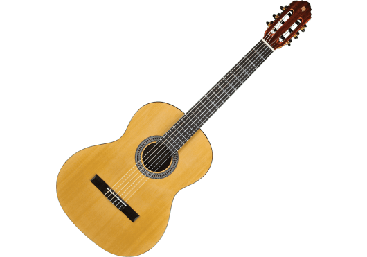 EKO Guitares Classiques VIBRA100