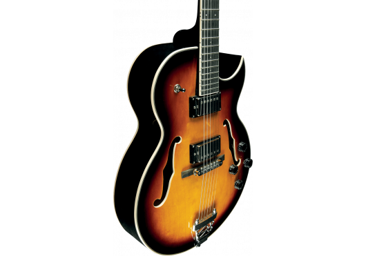 EKO Guitares Electriques SA750